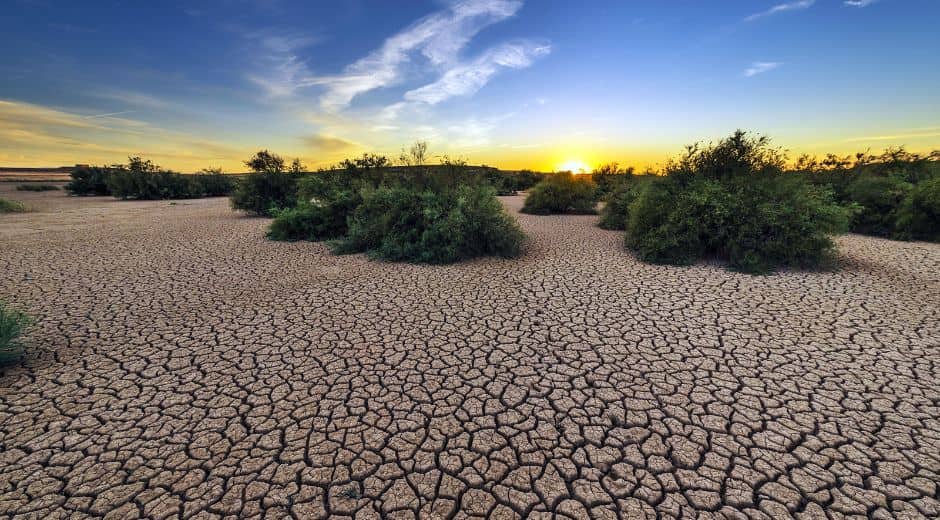 Climate Change