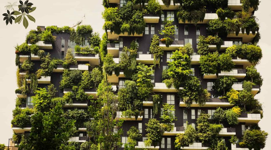 5 Brilliant Innovations Transforming a Green Future
