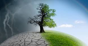 How Natural Balance Keeps Our Planet Alive