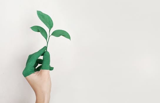 How Simplicity Builds a Greener Tomorrow