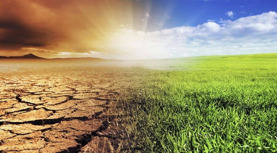 Climate & Environment